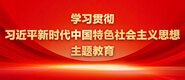 少妇被c网站学习贯彻习近平新时代中国特色社会主义思想主题教育_fororder_ad-371X160(2)